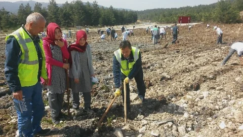 Fidanlar Orhaneli'nde Toprakla Buluştu