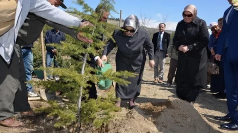 Erzincan'da Bereket Ormanı Projesi