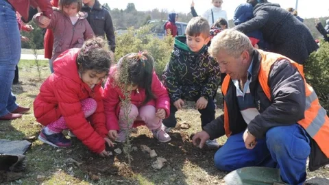Bozüyük'te Fidan Dikim Etkinliği