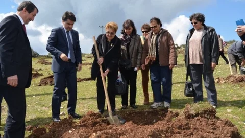 Belen'de Fidan Dikimi Yapıldı