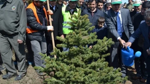 Erzurum'da Fidan Dikimi Etkinliği