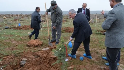 Malatya'da Fidan Dikimi Etkinliği
