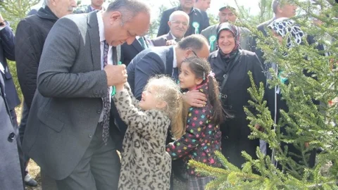 Kastamonu'da Bereket Ormanları Projesi