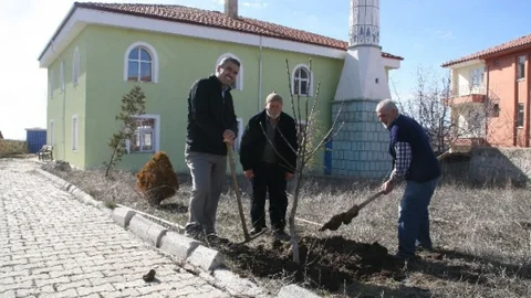Yozgat İmamoğlu Camii Ağaçlandırma Çalışması
