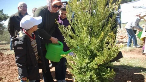 Gaziantep'te Bereket Ormanları Projesi