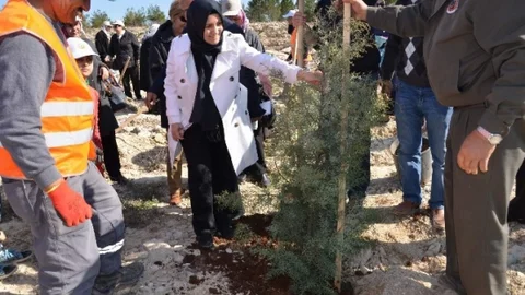 Kilis'te Fidan Dikimi Etkinliği