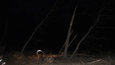 Konya'da Ağaç Altında Kalan İşçi Hayatını Kaybetti