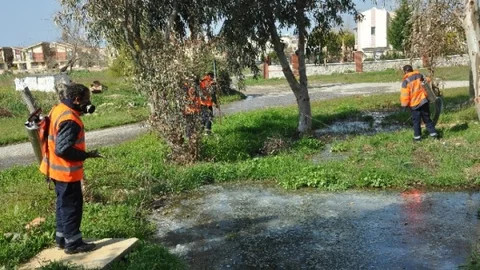 Kuşadası'nda Haşere Mücadelesi Başladı