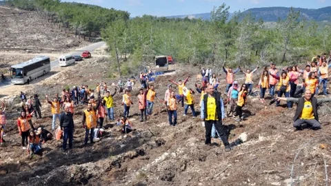 Erdemli'de Fidan Dikimi Etkinliği
