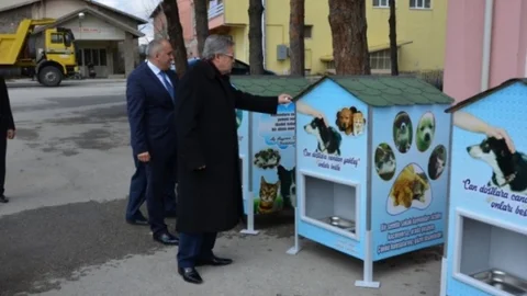 Erzincan'da Sokak Hayvanlarına Destek Projesi