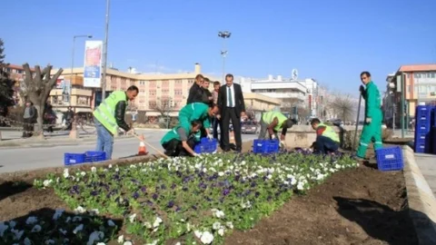 Erzincan'da Bahar Çiçekleri