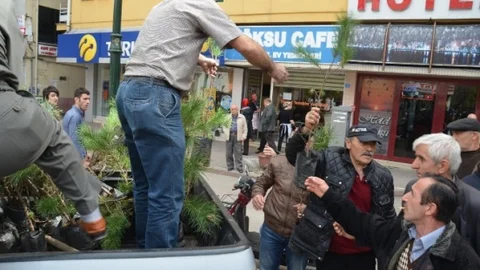 Fatsa'da 2.500 Fidan Dağıtıldı