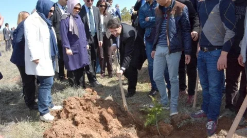 Aksaray'da Ağaç Dikme Etkinliği