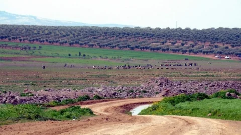 Türkiye-Suriye Sınırında Mülteci Artışı