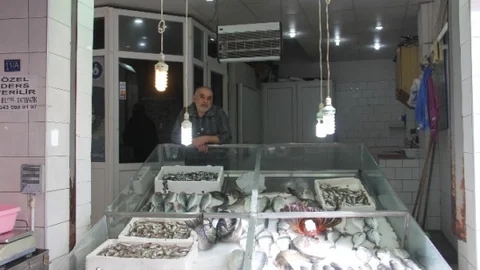 Sinoplu Balıkçılar Durgun Geçti