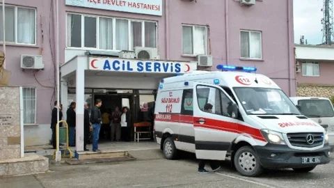 Demre'de Domuz Gribi Endişesi