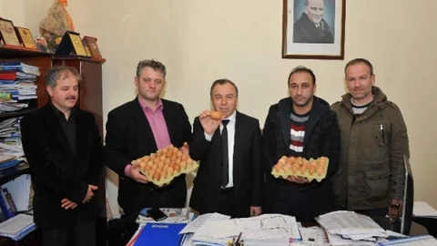 Samsun'da Doğal Yumurta Projesi