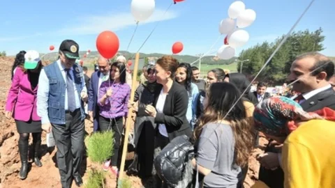 Osmaniye'de Bereket Ormanı Açıldı