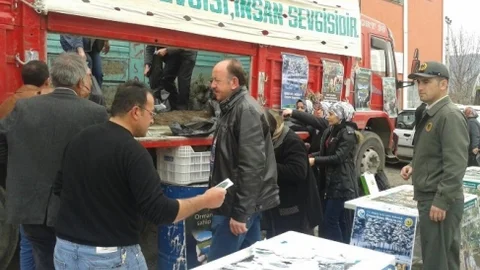 Kargı'da Fidan Dağıtımı Yapıldı