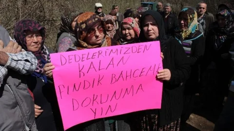 Alaplı'da Taş Ocağı Eylemi Başarıya Ulaştı