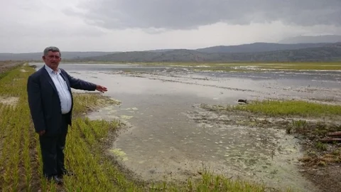 Bursa'da Tarım Arazisi Suya Gömüldü