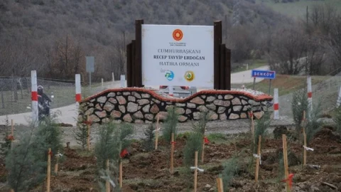 Tokat'ta 880 Fidan Dikildi