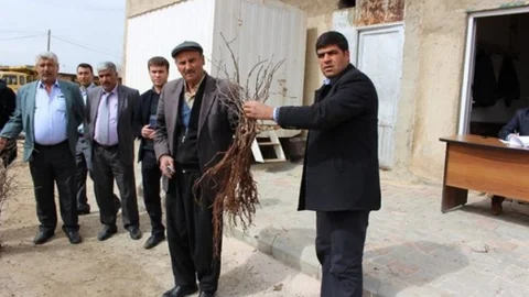 Ekinözü'nde Bağcılığa Destek