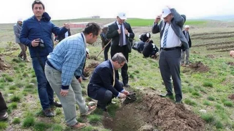 Sungurlu'da Fidan Dikimi Yapıldı