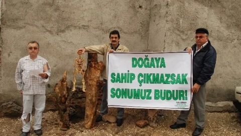 Halit Gürsoy'dan Görsel Açıklama