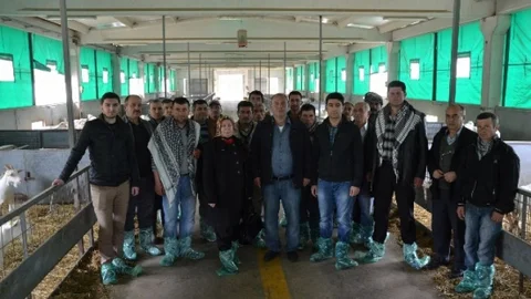Manisa'da Sürü Yönetimi Eğitimi