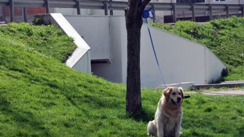 Bursa'da Polis Kolunu Kırdı