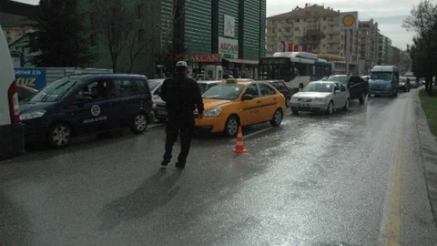 Koca Ağaç Yola Düştü