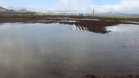 Beyşehir'de Taşan Dere Sorun Yarattı