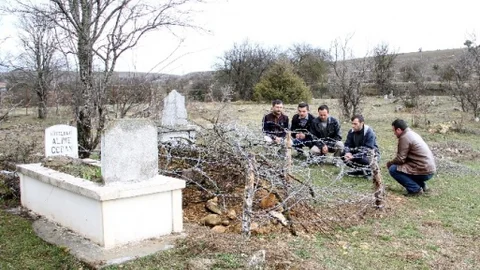 Kastamonu'da Ayılara Önlem Alındı