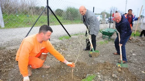 Soma İçin 301 Fidan Dikildi