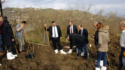 Fındıkta Toprak Analizi Çalışmaları