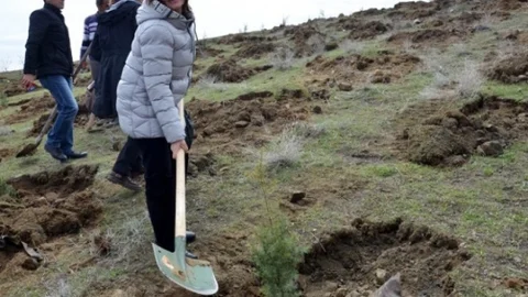 Arguvan'da Hatıra Ormanı Açıldı
