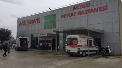 Sakarya'da Bonzai Krizi