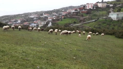 Aydın'da Bahar Güzellikleri
