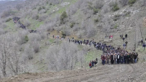 Gülyazı Köyü'nde Katır Protestosu