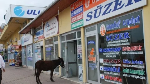 Fatsa'da Davetsiz Eşek Ziyareti