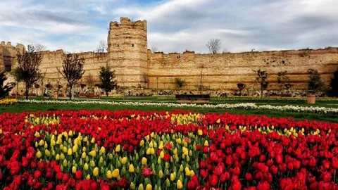 İstanbul'da Lale Festivali Başlıyor