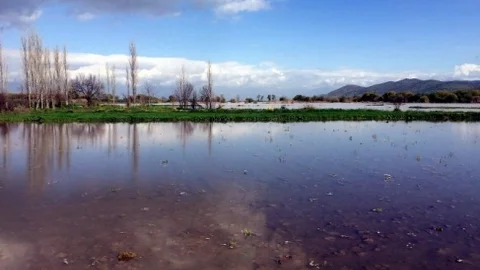 Aydın'da Tarım Alanları Su Altında Kaldı