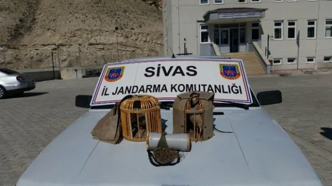 Gürün'de Kaçak Avcılar Yakalandı