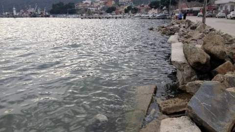 Narlı Sahillerinde Kimyasal Atık Sorunu