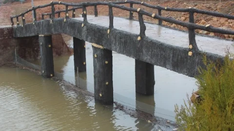 Konya'da Gölet Balıkları Korunuyor