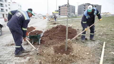 Ihlamurkent'te Ağaç Dikimi