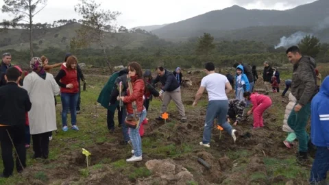 Minik Öğrenciler Ağaç Dikti