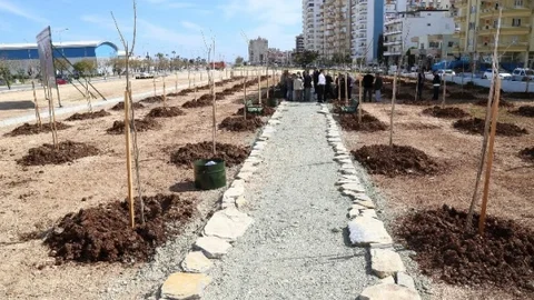 Mezitli'de Koruluk Açıldı
