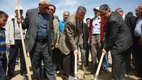 Ereğli'de 100 Bin Fidan Dağıtımı